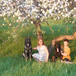 German Shepherds from Vom Dul Haus German Shepherds