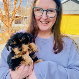 Yorkipoo and Yorkshire Terrier Puppies from Yorkie Oodle Doodle