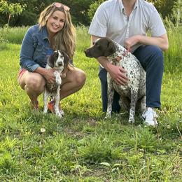 Girl 3 - German Shorthaired Pointer puppy in Dearborn, Missouri from Hardwood Kennels