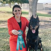 Nox - Beauceron
