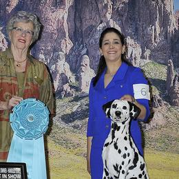 Dalmatians from Zoroastrian Dalmatians