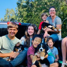Bernese Mountain Dogs from Rooted Branch Farm