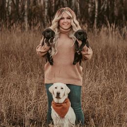 French Bulldogs and Labrador Retrievers from Northern Ridge Retrievers & The Frenchie Babes