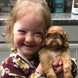 English Toy Spaniel Puppies from Skyline
