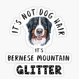 Bernese Mountain Dog Puppies from Lonesome Pine Farm