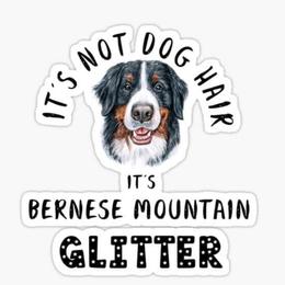 Bernese Mountain Dog Puppies from Lonesome Pine Farm