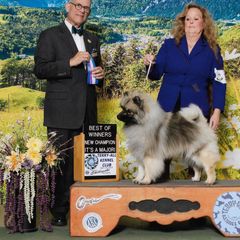 Jewells - Keeshond