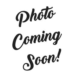 Black Boy - Blue male Australian Cattle Dog puppy in Kamiah, Idaho from Selway Australian Cattle Dogs