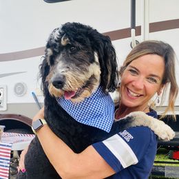 Bernedoodles and Goldendoodles from Happy Valley Doodles