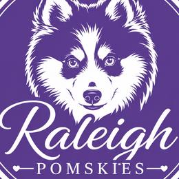 Pomskies from Raleigh Mini Pomskies