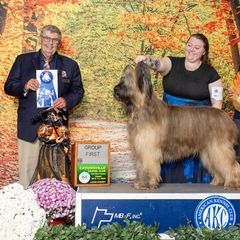 Paris - Briard
