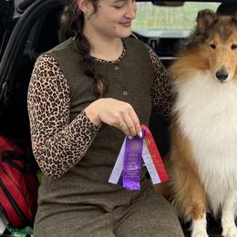 Collies from Edenmore collies