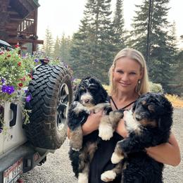 Bernedoodle Puppies from HooDoodles