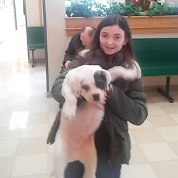 Alapaha Blue Blood Bulldog Puppies from Eclipse Alapaha Kennels