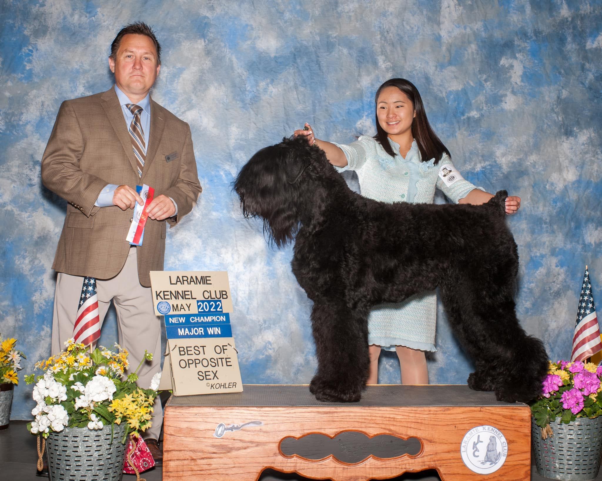 Nova Noir in Colorado | Black Russian Terrier puppies | Good Dog