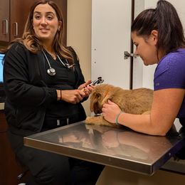 Golden Retriever Puppies from 10 Piece Golden Nugget Retrievers