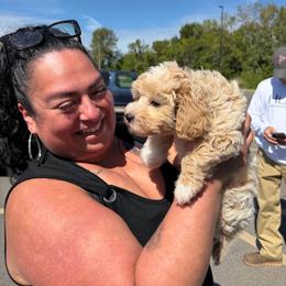 Dallas - Apricot male Maltipoo puppy in Lawrenceburg, Tennessee from LUV Poodles and Maltipoos