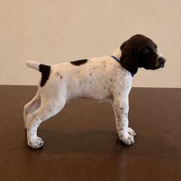 Blue boy - Liver and white male German Shorthaired Pointer puppy in Roseville, California from Valley Pointers