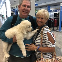 Golden Retriever Puppies from Dry Canyon Goldens
