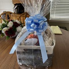 Shorkie Puppies from Shorkies R Us Breeding