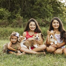 Pembroke Welsh Corgi Puppies from Quirky Corgis