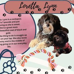 LORETTA LYNN - Cockapoo