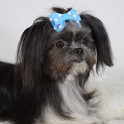 Violet - Mi-Ki