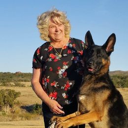 German Shepherds from Shadyrock German Shepherds