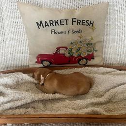 Light Pink Collar Female - Yellow female Labrador Retriever puppy in Hurtsboro, Alabama from PARK’s Family Farm
