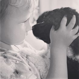 Poodle Puppies from Kirsten Kenning's Standard Poodle