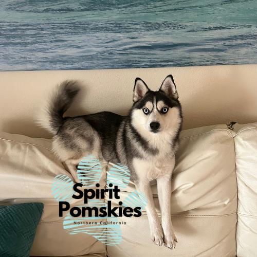 Spirit