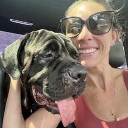 Mercy - Cane Corso