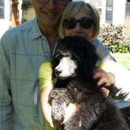 Poodle Puppies from Michelet Poodles