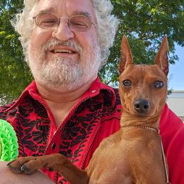 GCH CH Rehdiant Dream Vortex BCAT - Stag red female Miniature Pinscher puppy in Georgetown, Texas from Rehdiant Miniature Pinschers