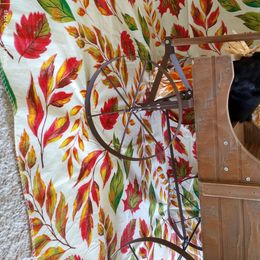 Miniature Schnauzer Puppies from Camp Creek Schnauzers