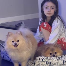 Miss Lady - Pomeranian