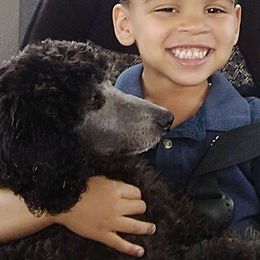 Goldendoodles from Three Boys Poodles & Doodles