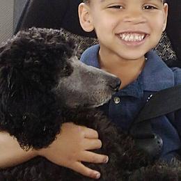 Goldendoodles from Three Boys Poodles & Doodles