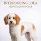 Lola