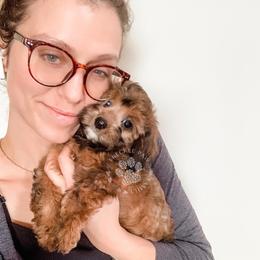 Cavapoo and Poodle Puppies from Freckle Paw Poodles