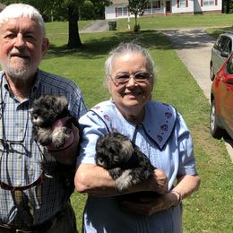 Miniature Schnauzer Puppies from Daniels Mini Schnauzers
