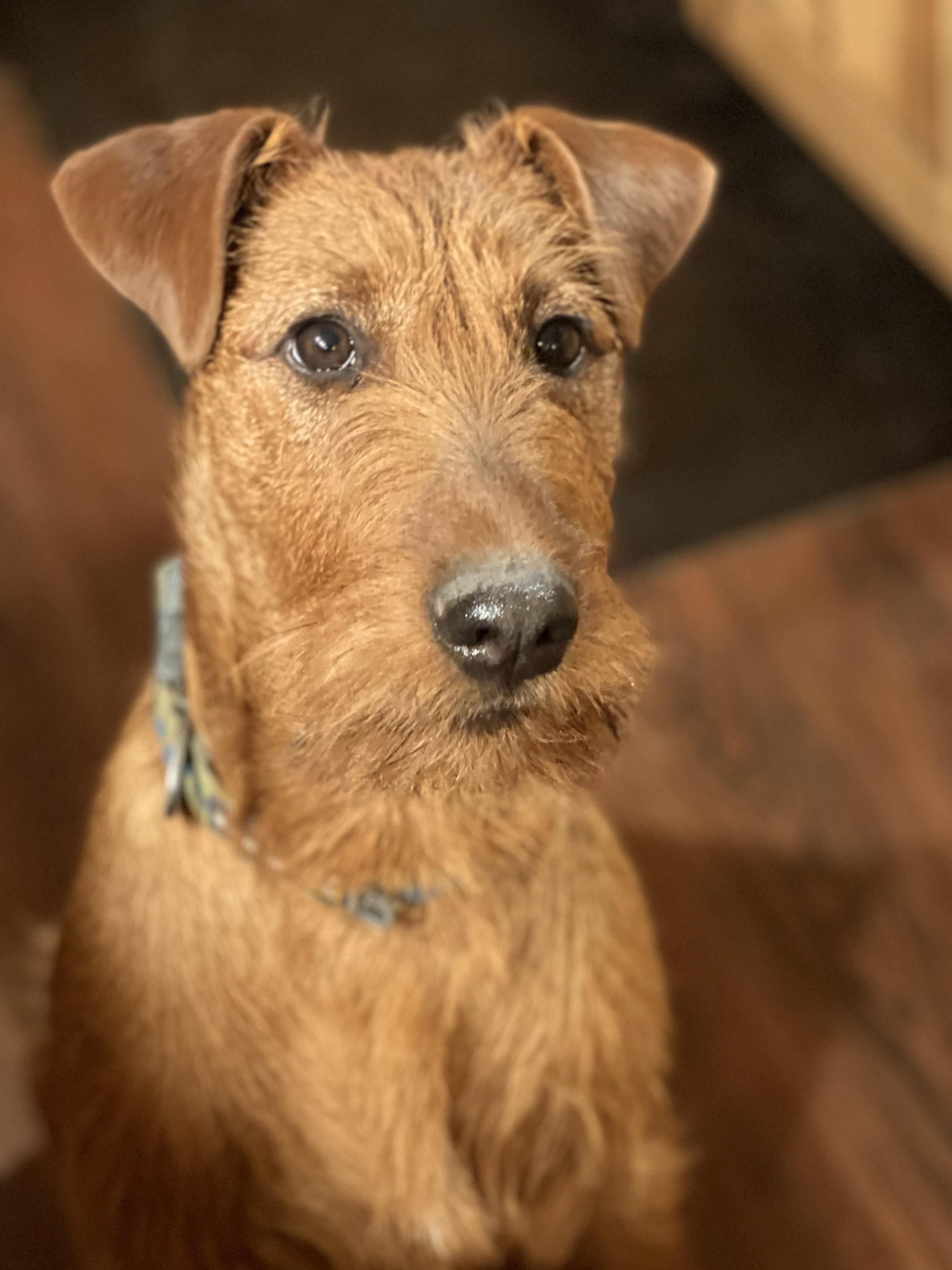 Flynn