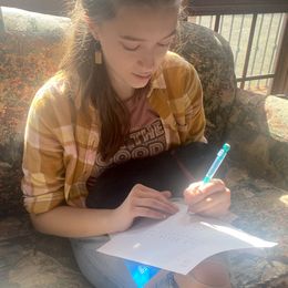 German Shepherd Puppies from Ransomshire Shepherds