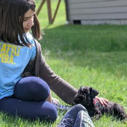 Miniature Schnauzer Puppies from Starbound Miniture Schnauzer's