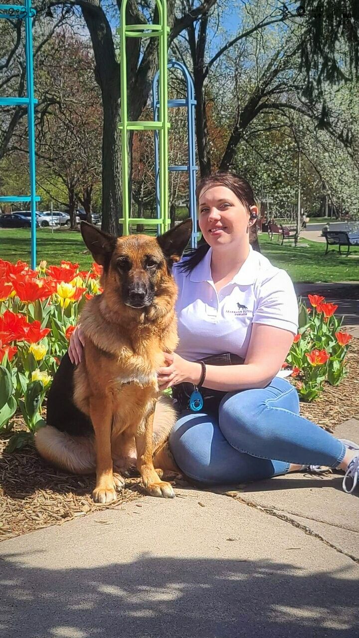 German Shepherds from Marbany Kennels