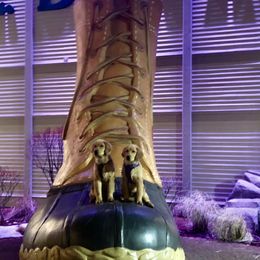 Golden Retriever Puppies from SwiftRiver Goldens