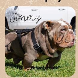 Jimmy Dean - Bulldog