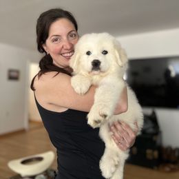Great Pyrenees All Grown Up from McCarthy Ranchette