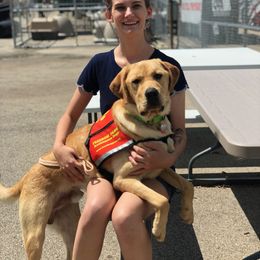 Labrador Retriever Puppies from Cary’s Buck Creek Retrievers