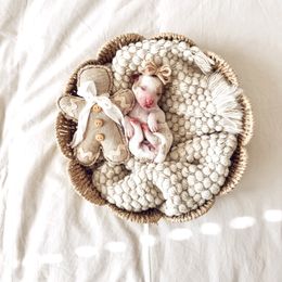 Noel - Red  female Goldendoodle puppy in Chesapeake, Virginia from Heart to Heart Doodles